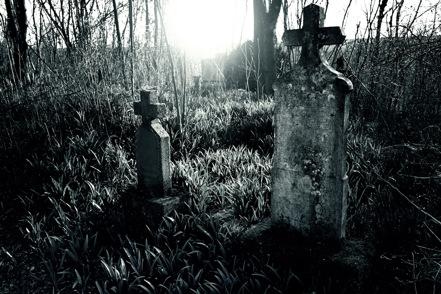 Кладбище старые могилы ночью