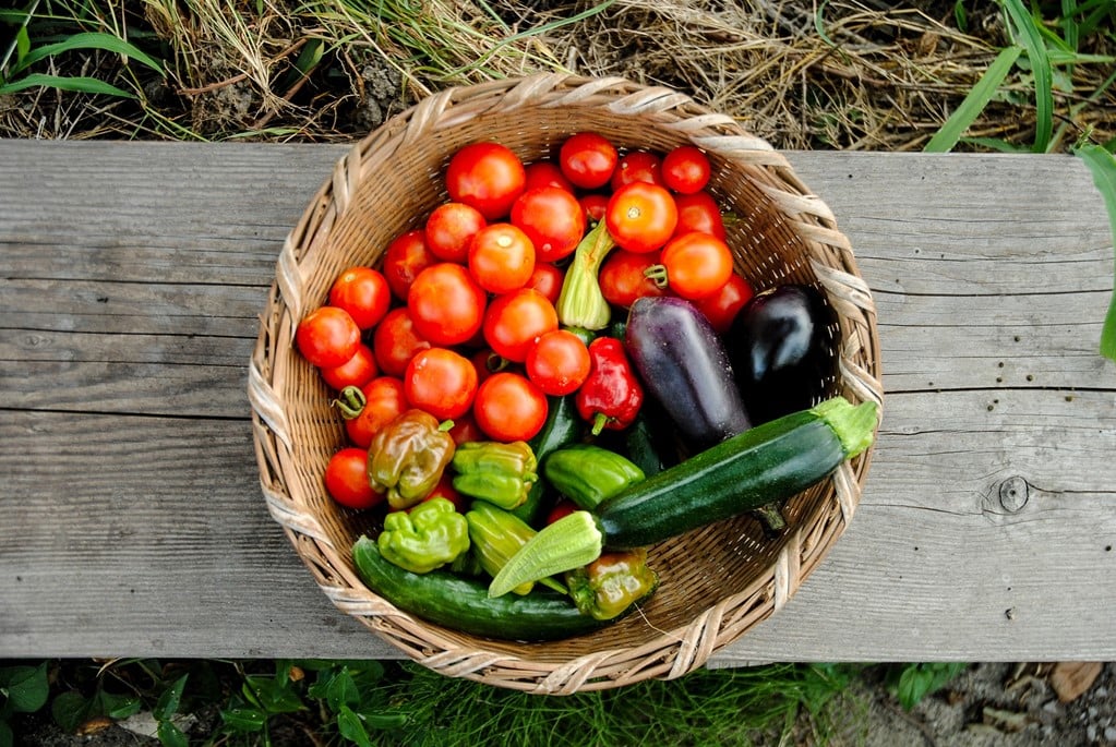 Alimentos Que Causan C Ncer Estudio