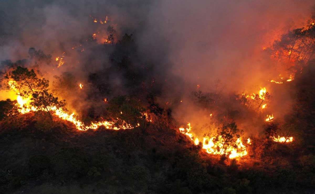 Incendio Forestal En Tetela De Ocampo Est Fuera De Control Reportan