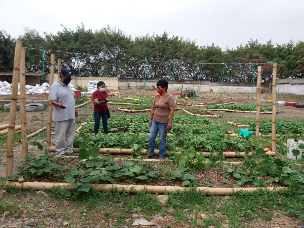 Asociaciones agrícolas organizan ferias de productos orgánicos en