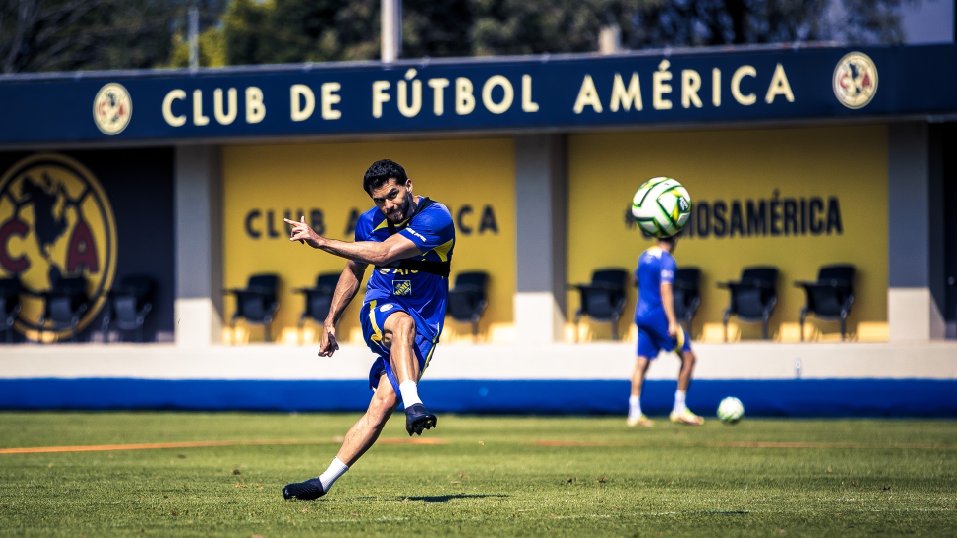 Quiénes son los principales candidatos para ser el nuevo DT del América