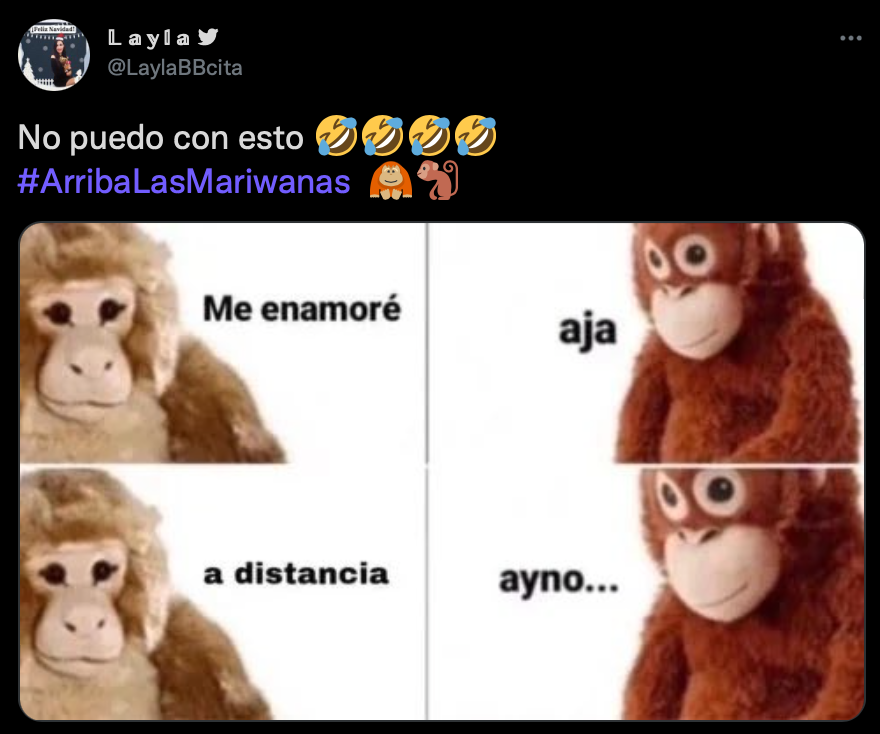 Adi S Los Mejores Memes Que Dej El Segundo A O En Pandemia Infobae