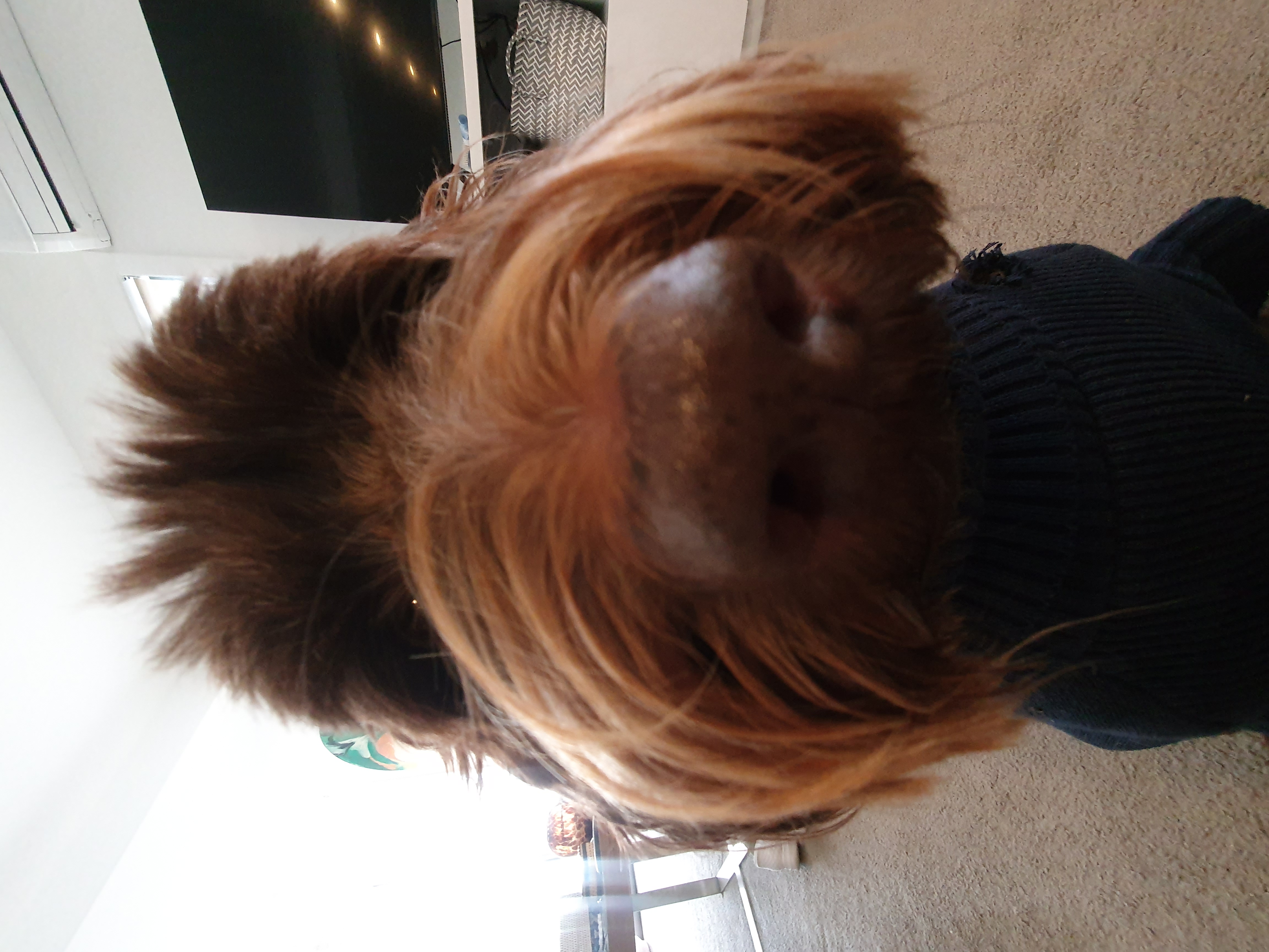 Boop