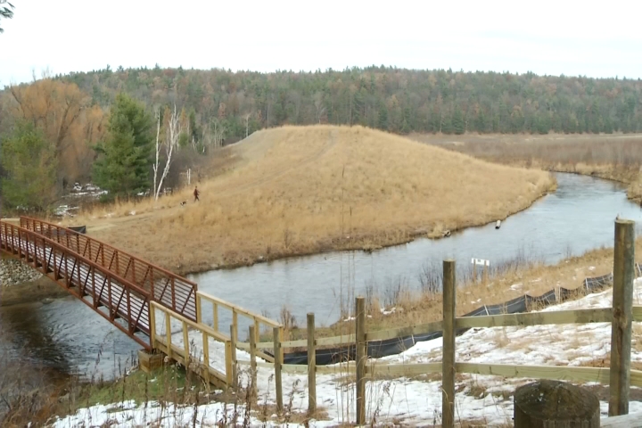 Sights and Sounds: Sunny Day at Brown Bridge Quiet Area – 9&amp;10 News