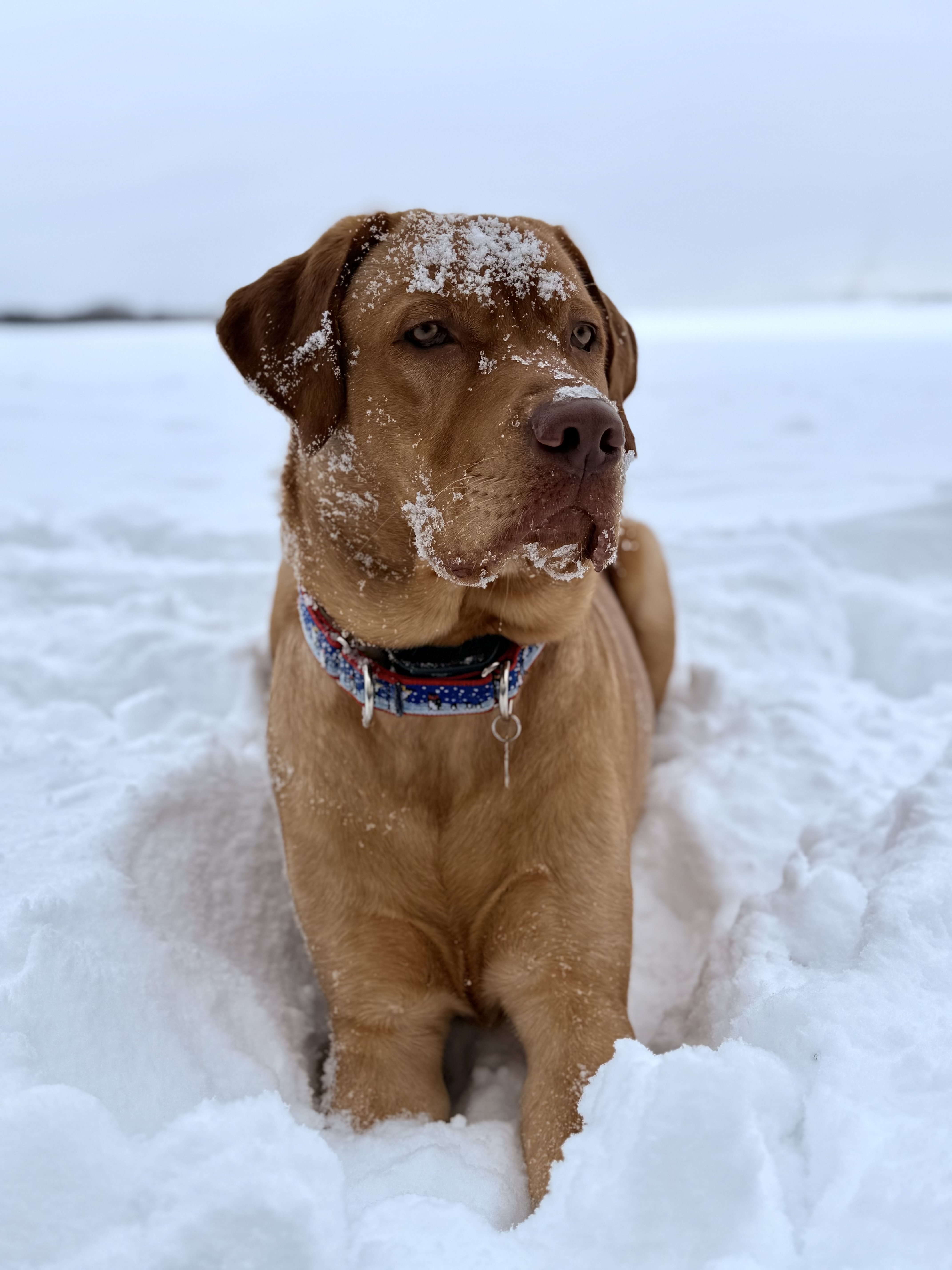 Dozier loving the winter snow and cold in Cadillac, Michigan!