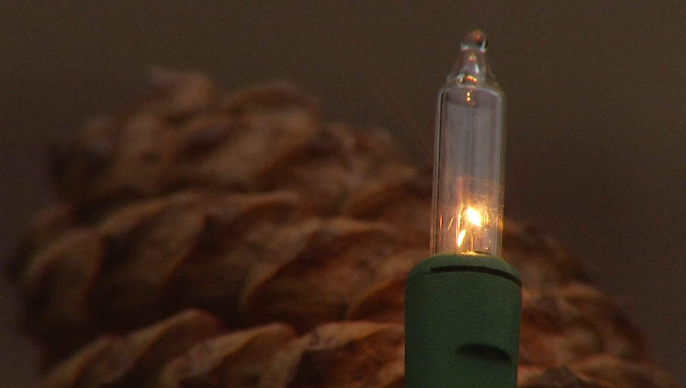 Sights and Sounds Petoskey Christmas Lights 9&10 News