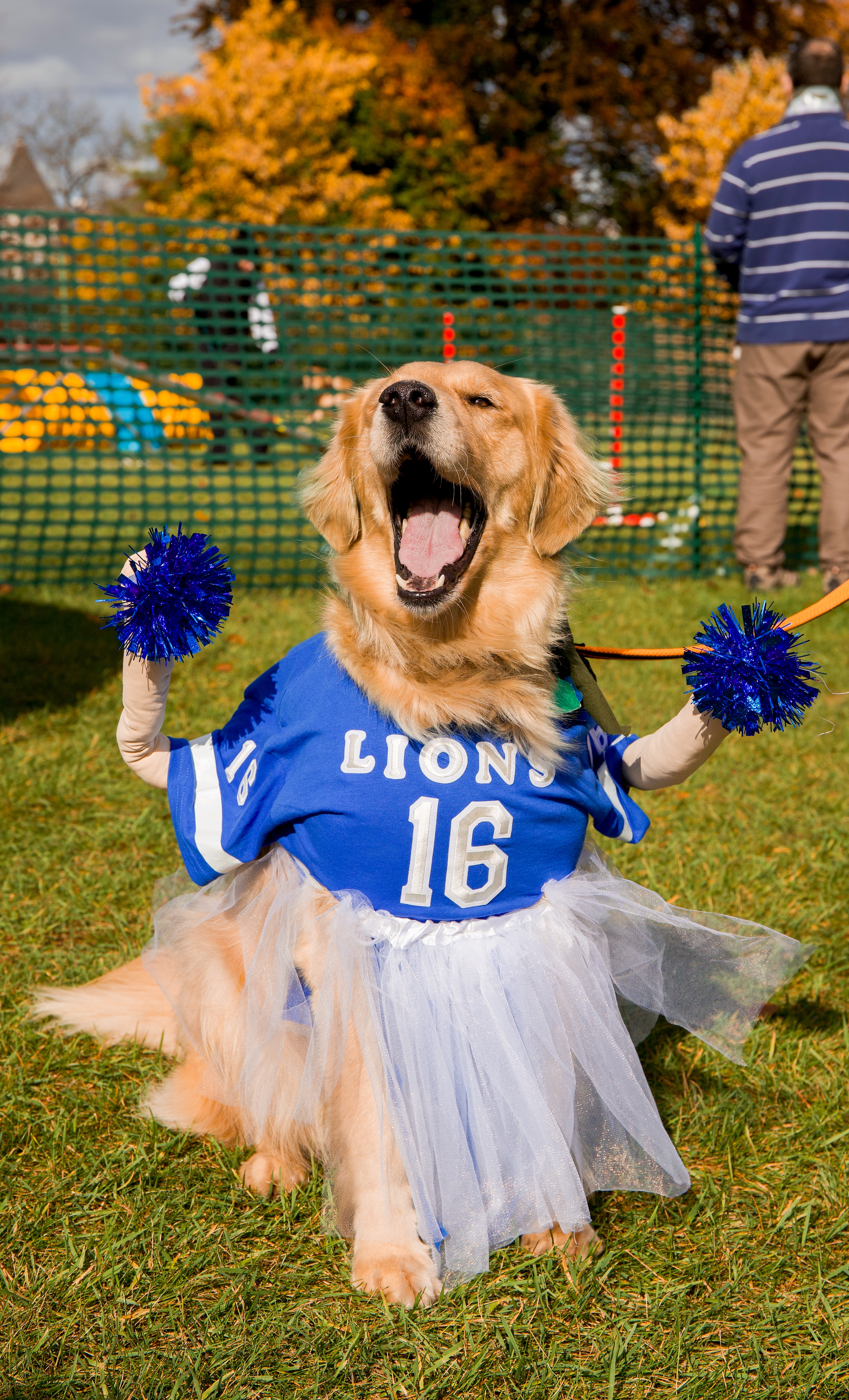 Fall Fido fest Costume