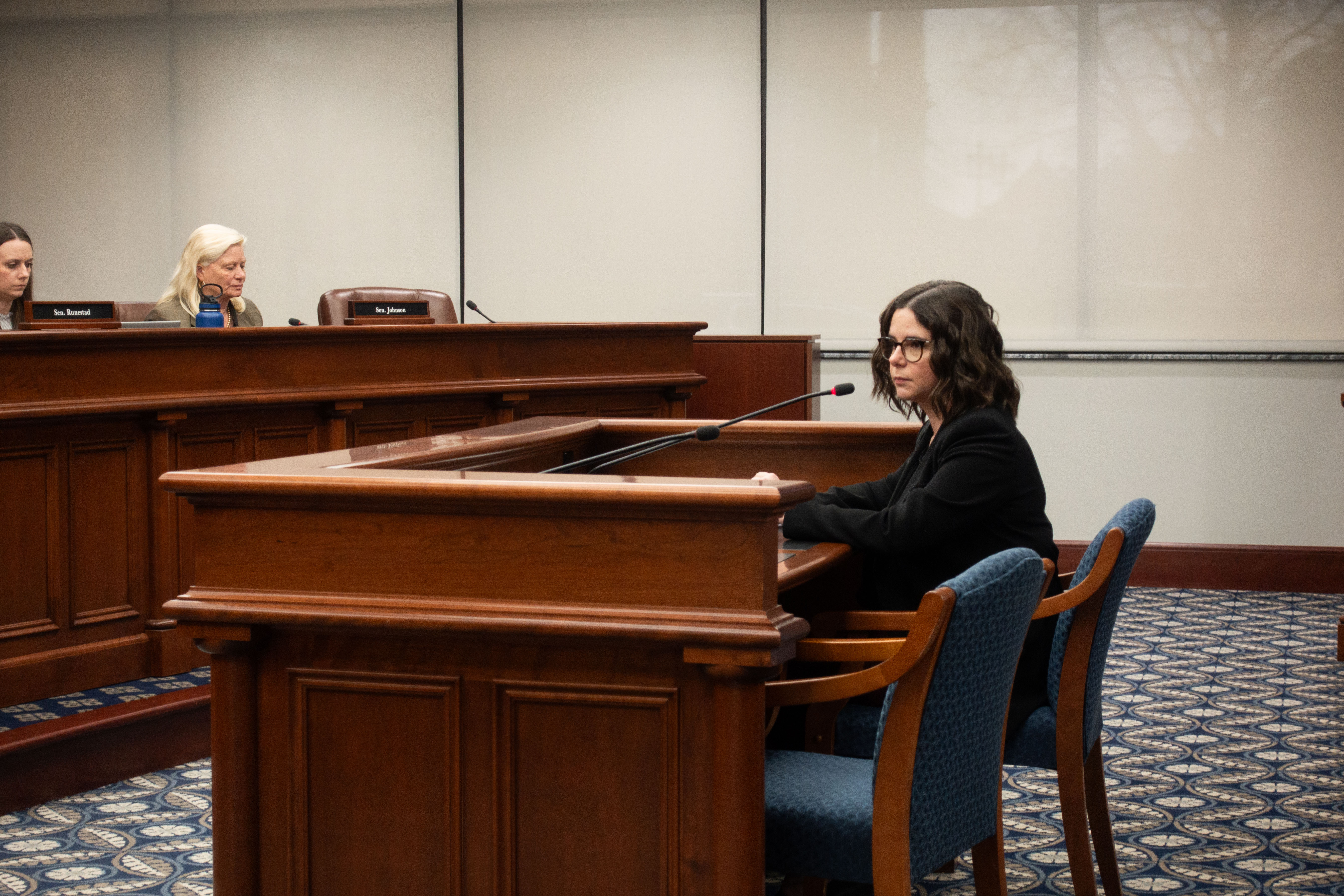 Rep. Laurie Pohutsky, D-Livonia, testifies before a Senate committee.