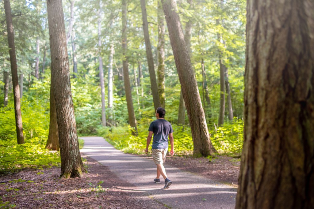 DNR Hosts Forest Cleanup Challenge – 9and10News.com