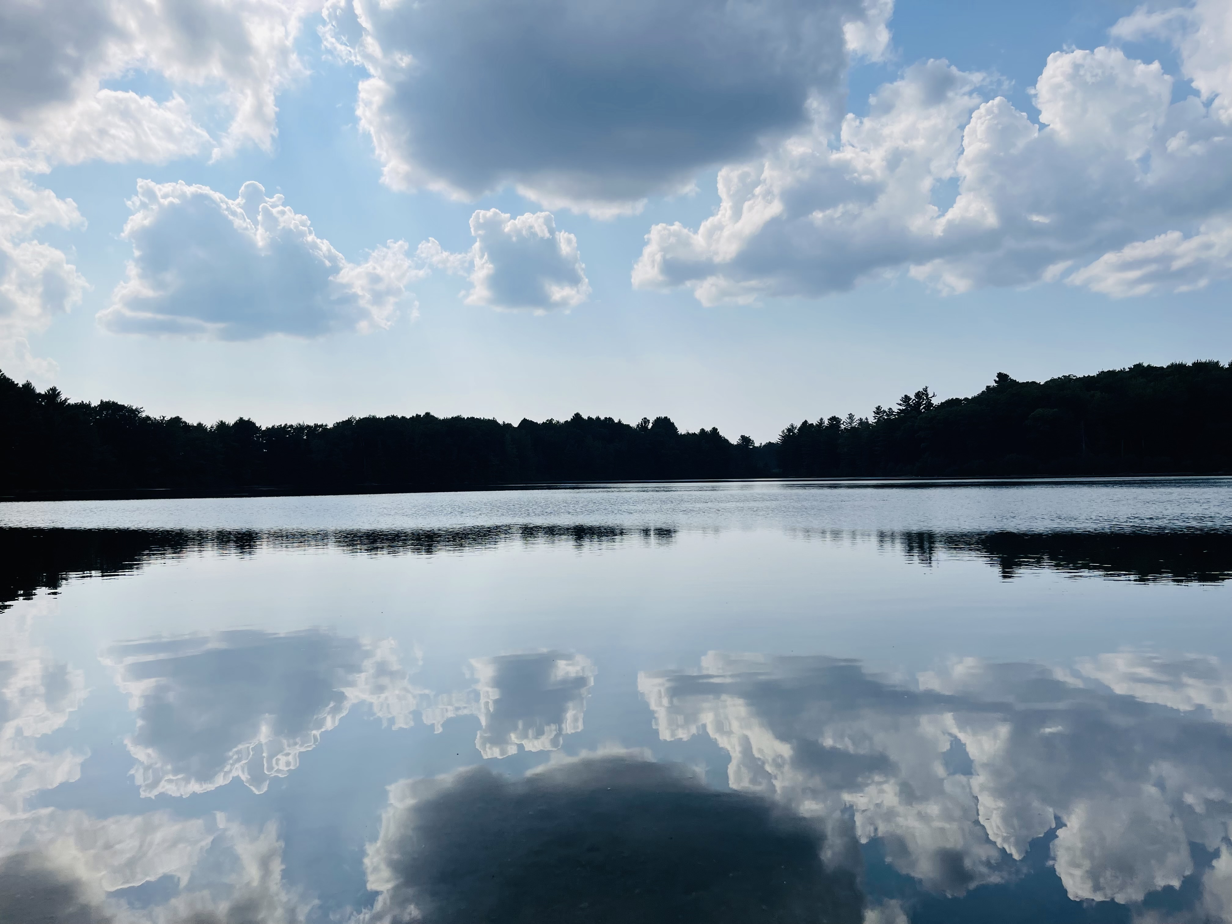 Sunny afternoon on 
Harringden lake in Lake ann