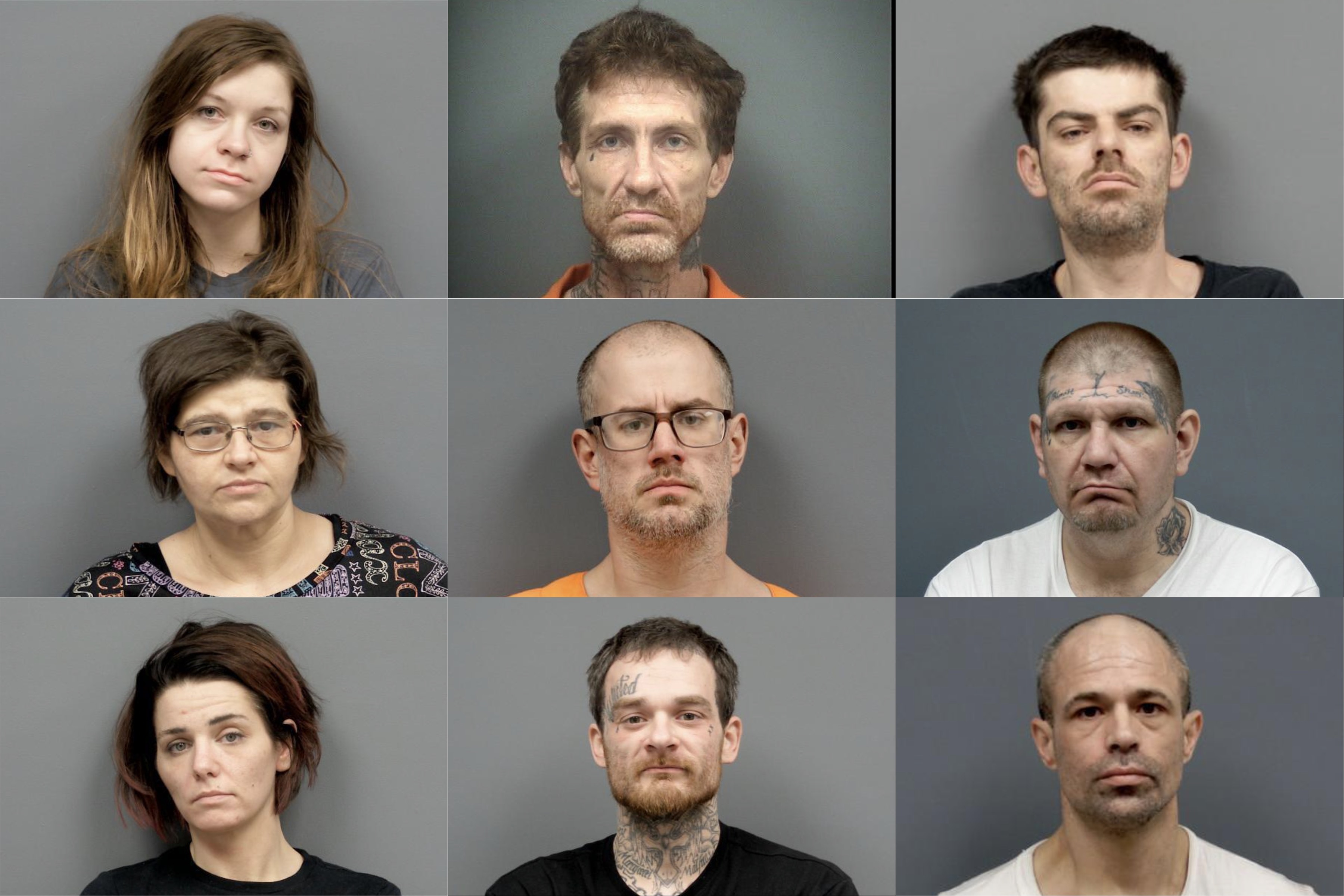 Clare County deputies arrest multiple suspects in methamphetamine raids ...