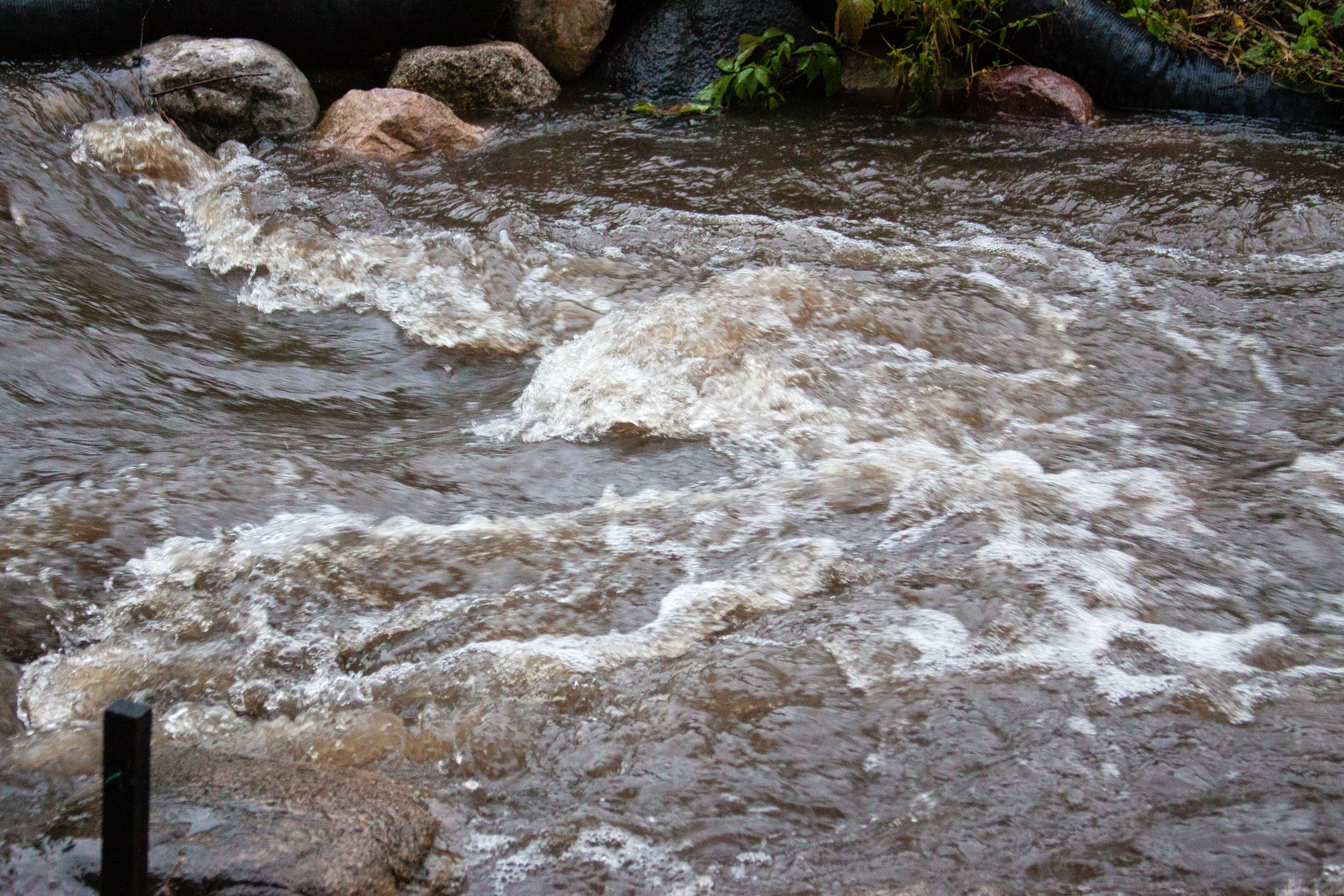Volunteers to monitor Grand Traverse Bay watershed streams, track water quality