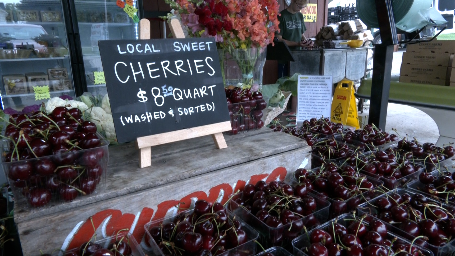 Spring frost wipes out cherry crop for some Michigan growers as harvest ramps up in Northern Michigan