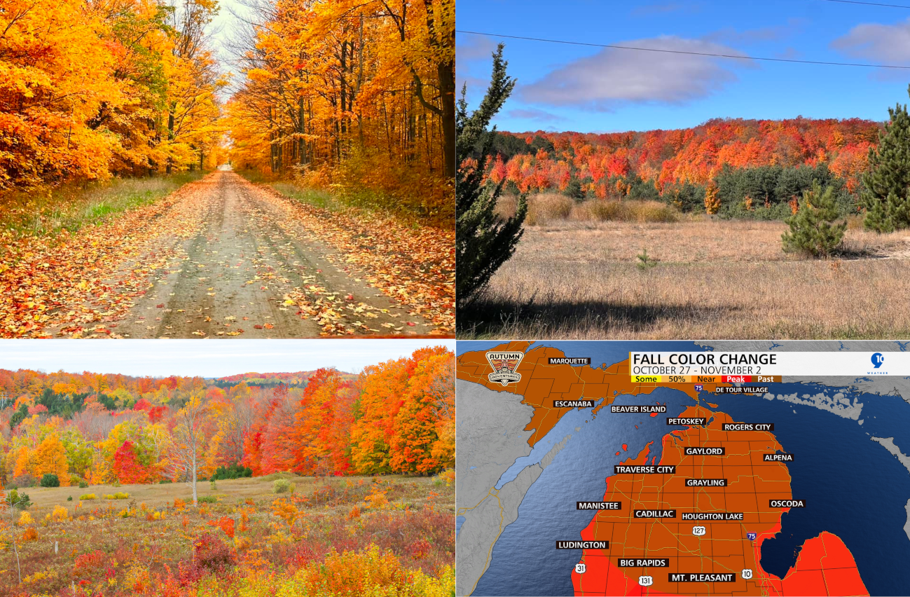 2023 Fall Color Report - Incredible Color!