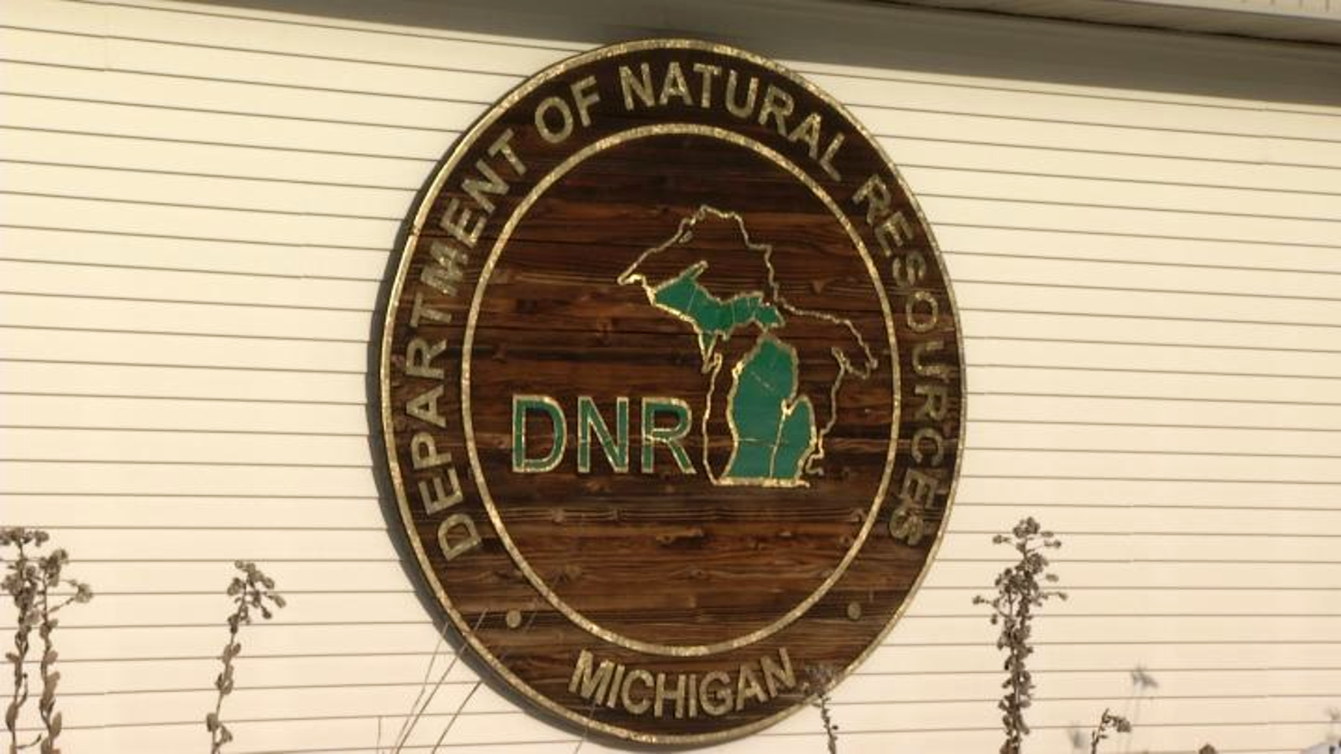 DNR proposes allowing electric bicycles on Michigan’s biking trails