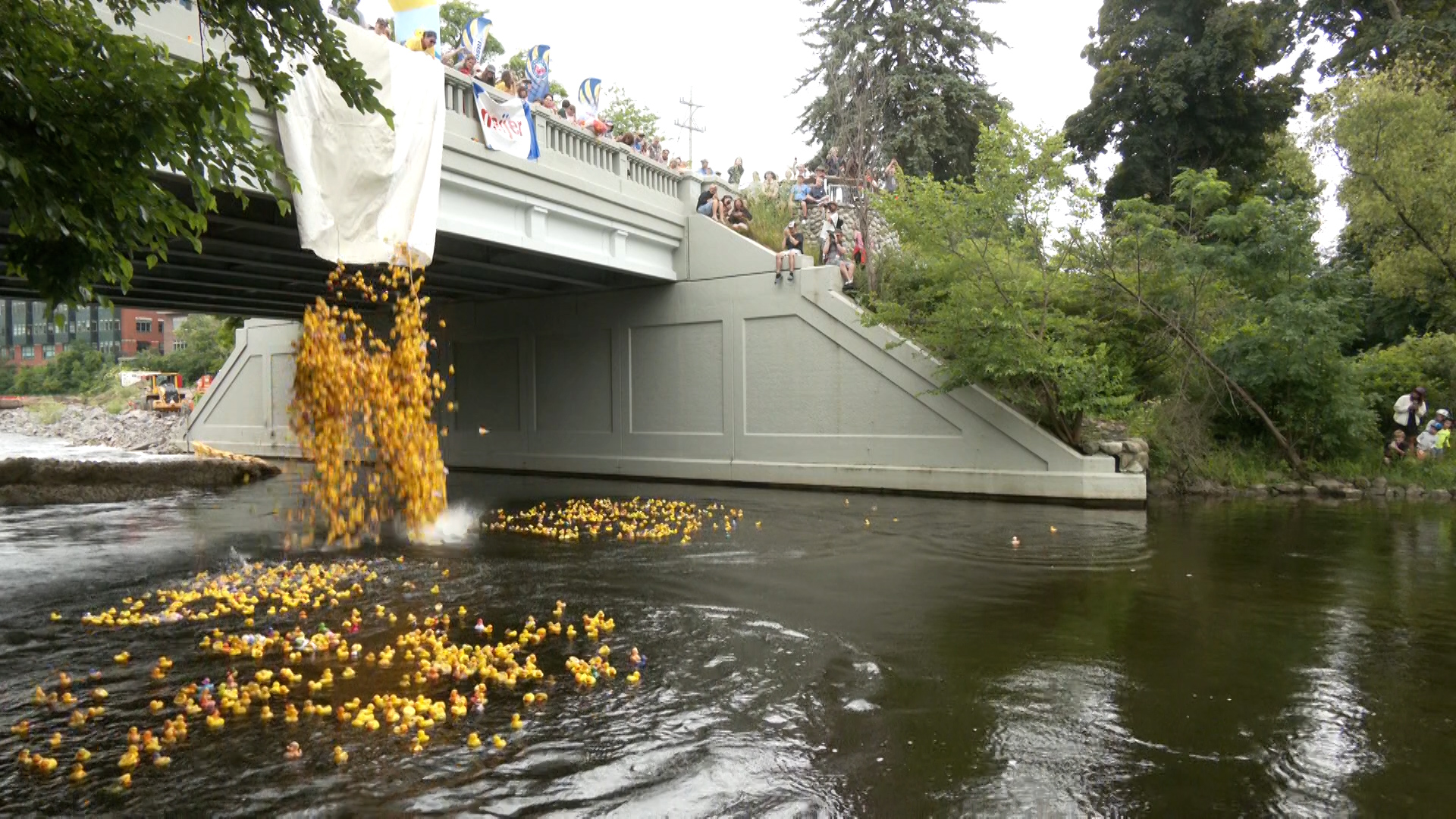 Cherry Festival duck race raises more than $45,000 for northern Michigan youth