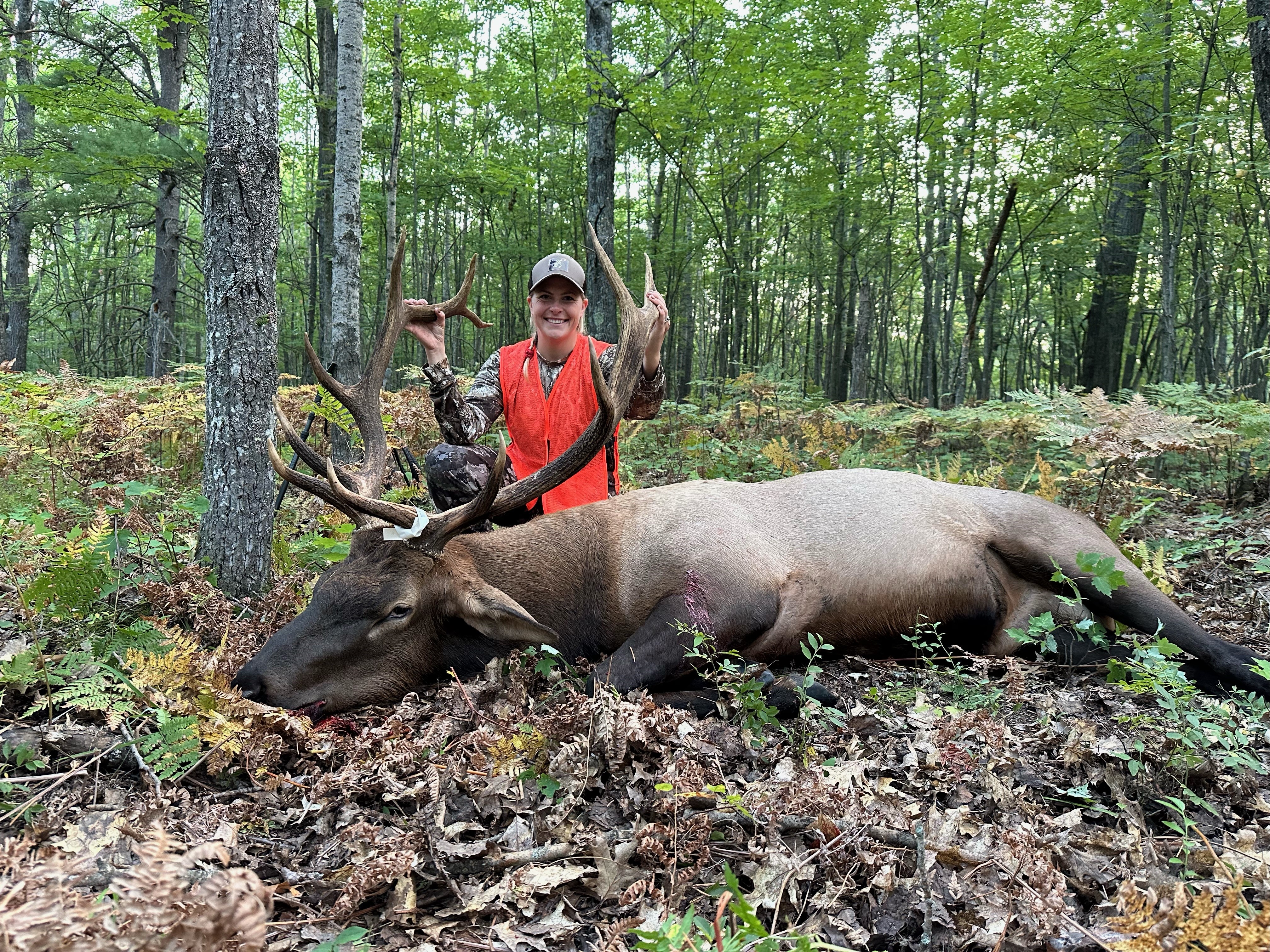 Northern Michigan Voices: I hunted an over 600-pound bull elk through my indigenous tribe