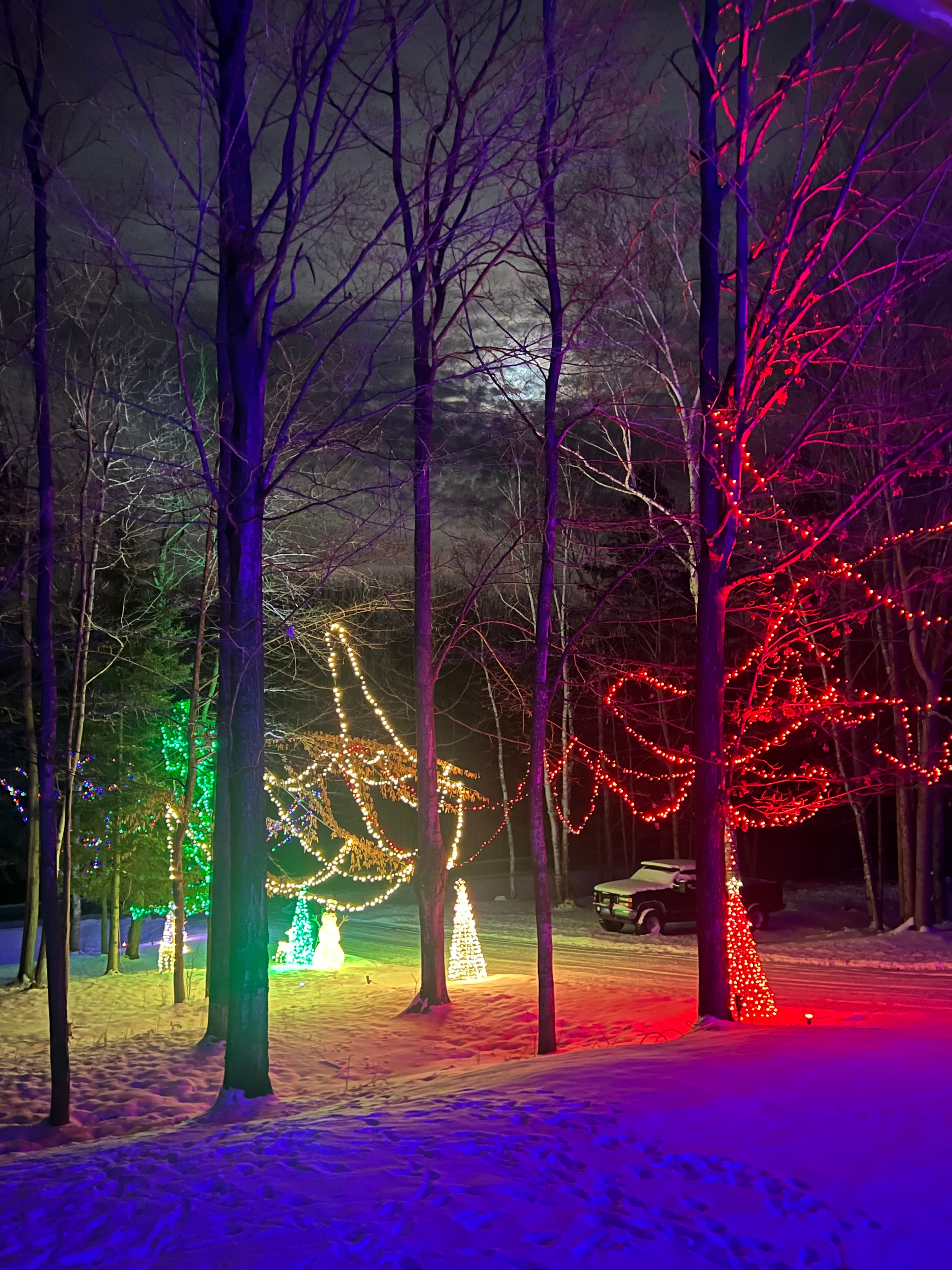 It’s a beautiful Northeast Michigan evening with a hidden full moon and adoring festive Christmas lights!✨