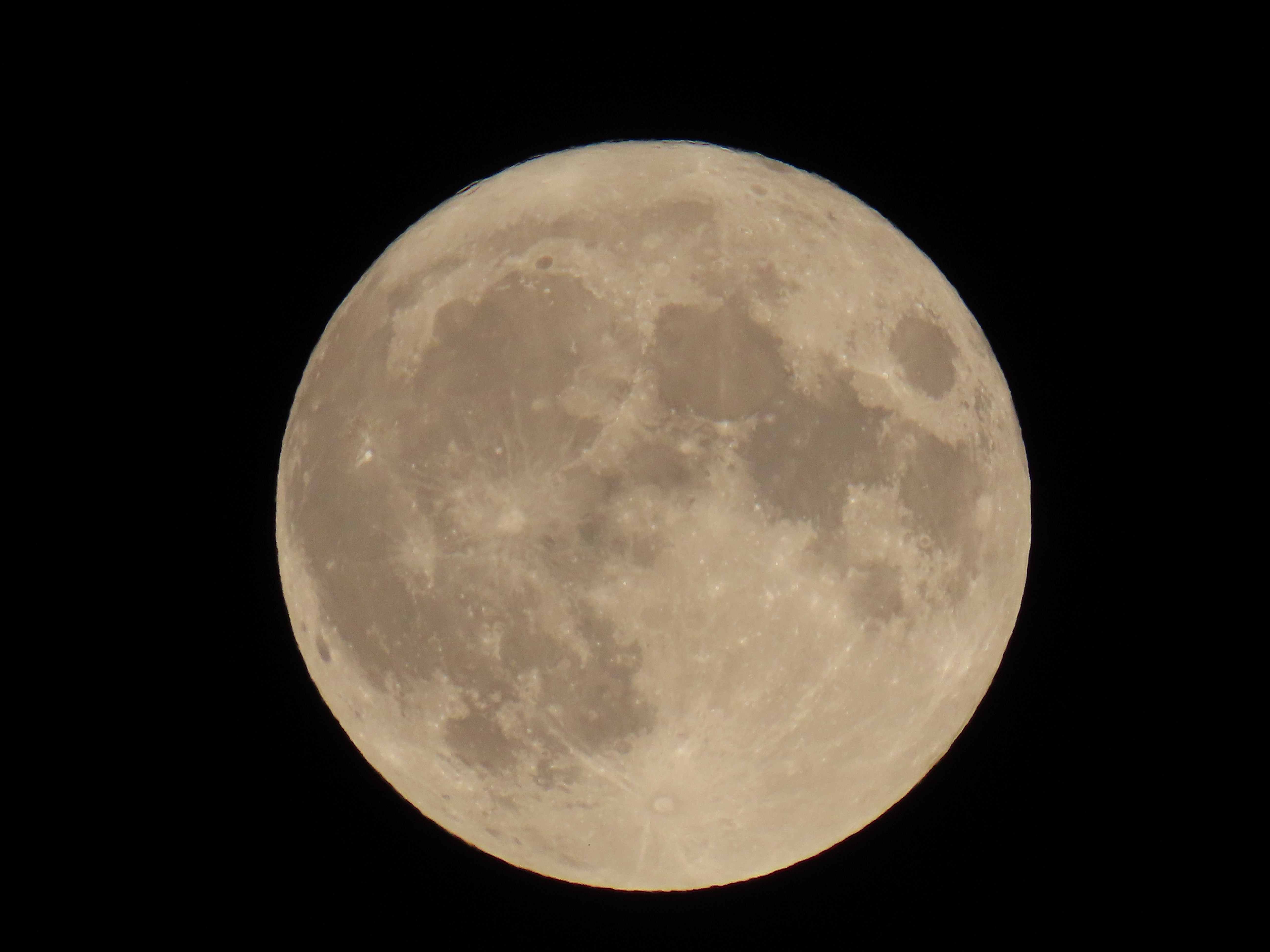 GALLERY: August blue supermoon lights up the sky – 9and10News.com