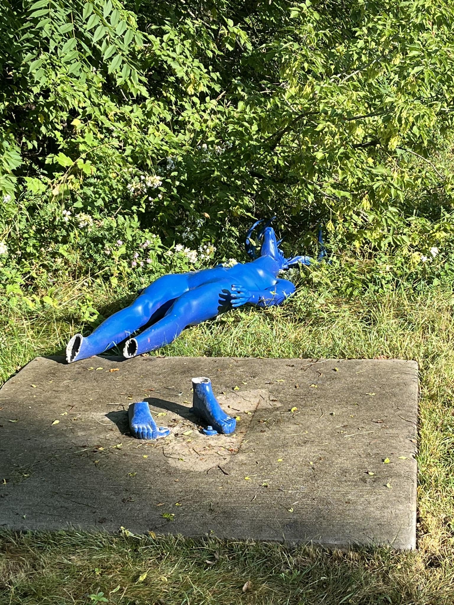 Boardman Lake Loop Trail sculptures taken down after more