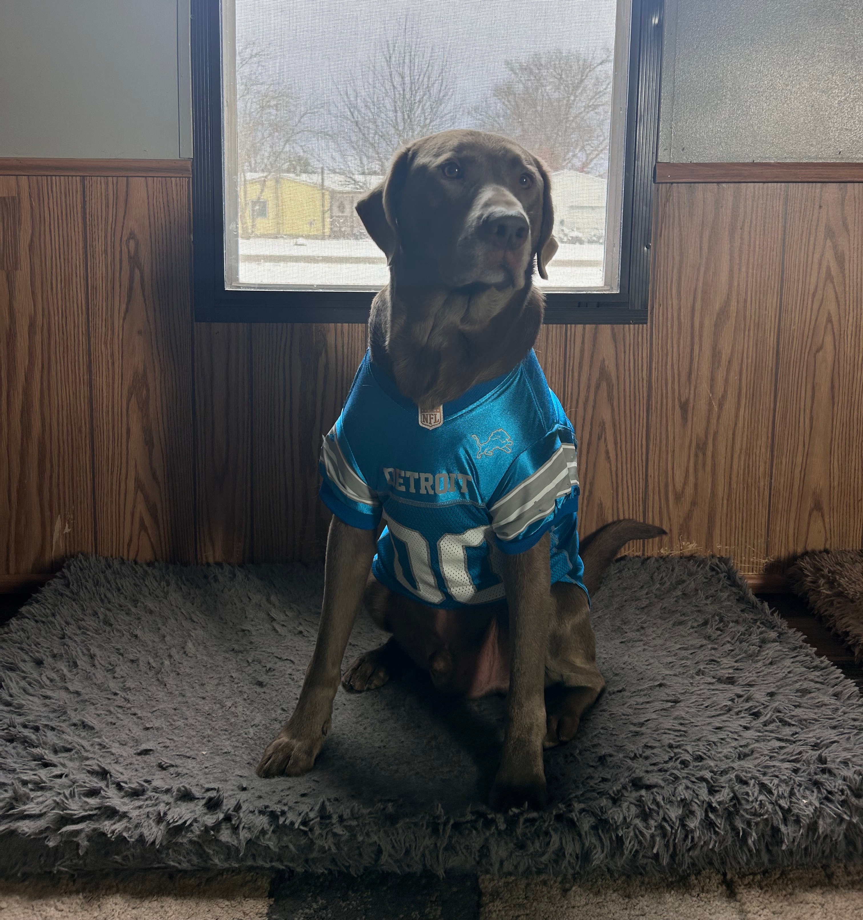 Titan says LETS DO THIS!! Go Lions!! 