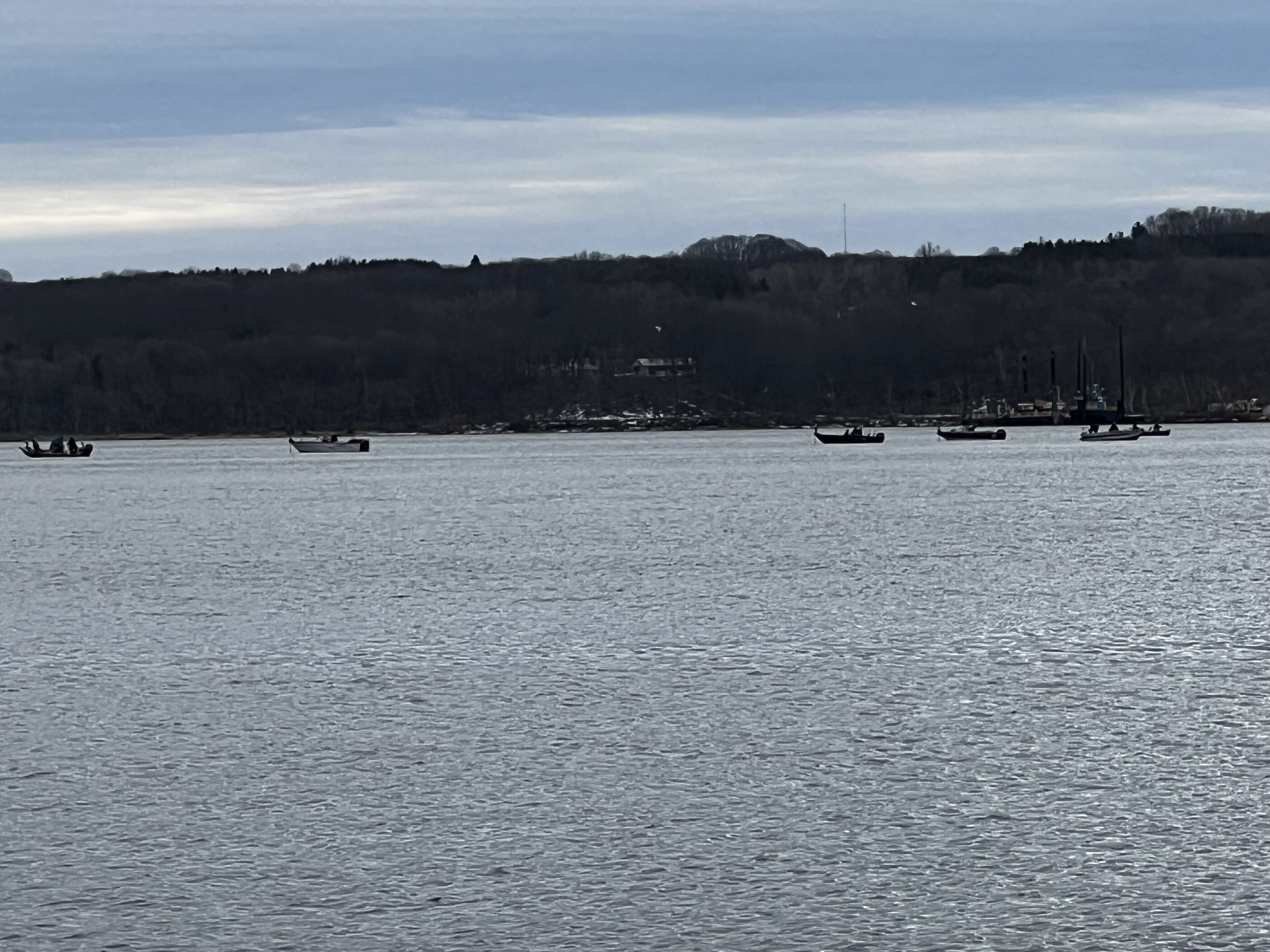 Ludington Fisherman