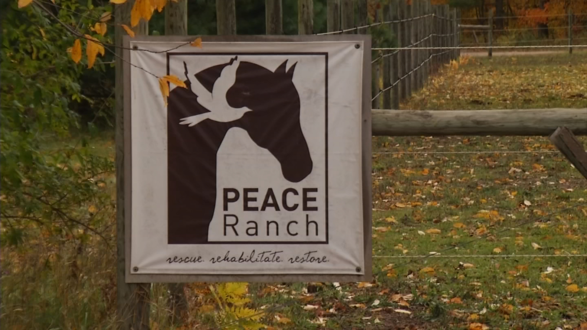 Peace Ranch Helps Veterans With PTSD – 9and10News.com