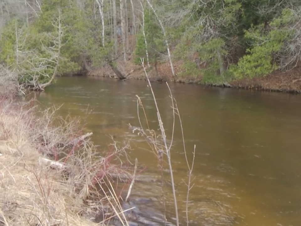 Northern Michigan river restoration could receive $2.5M in funding ...