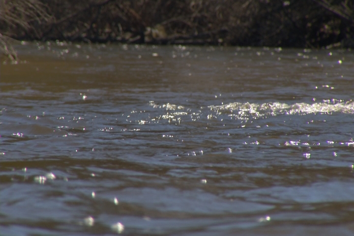Sights and Sounds: Beautiful Day Along the Boardman River – 9&10 News