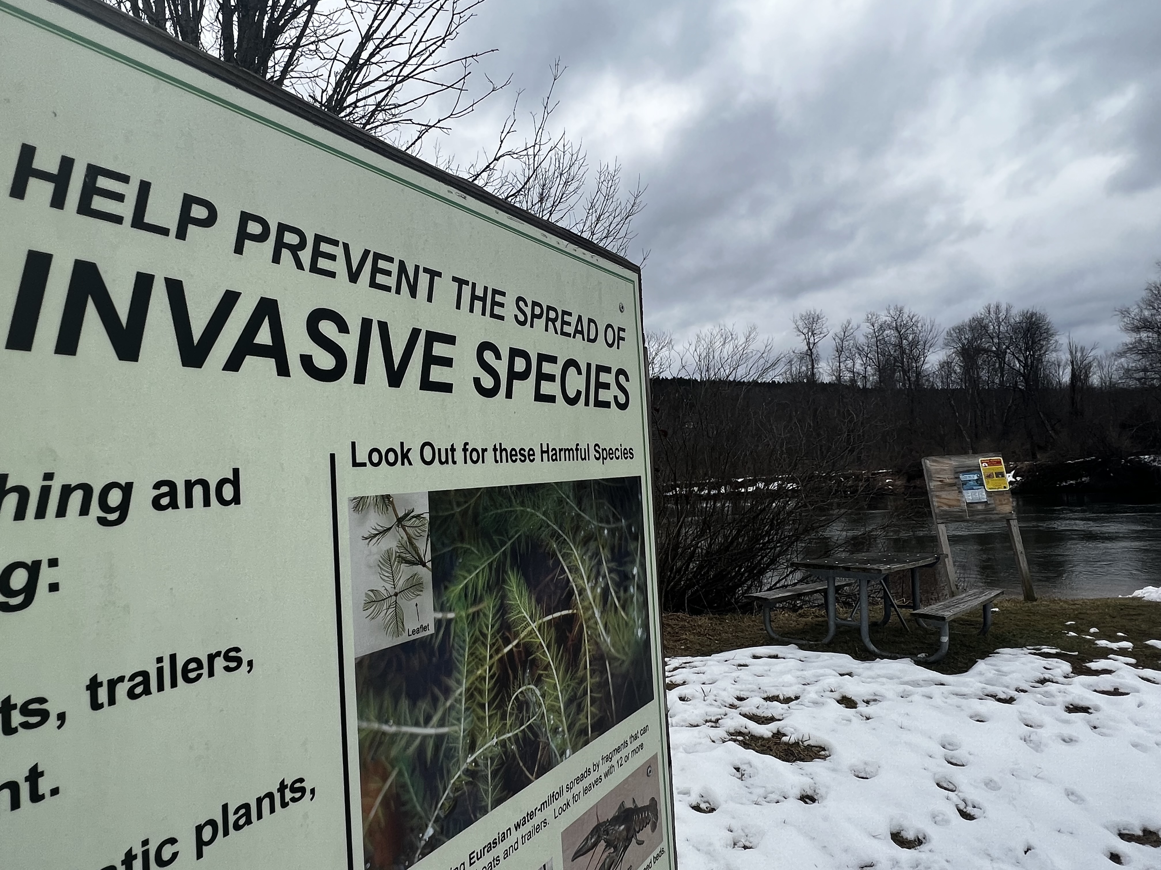 invasive species sign