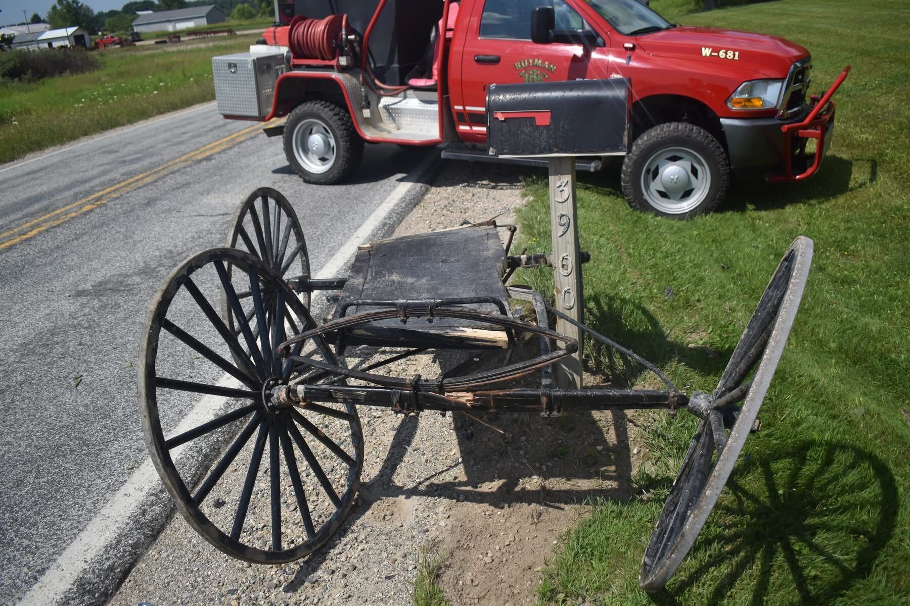 58-year-old Amish woman killed in Gladwin County buggy crash ...