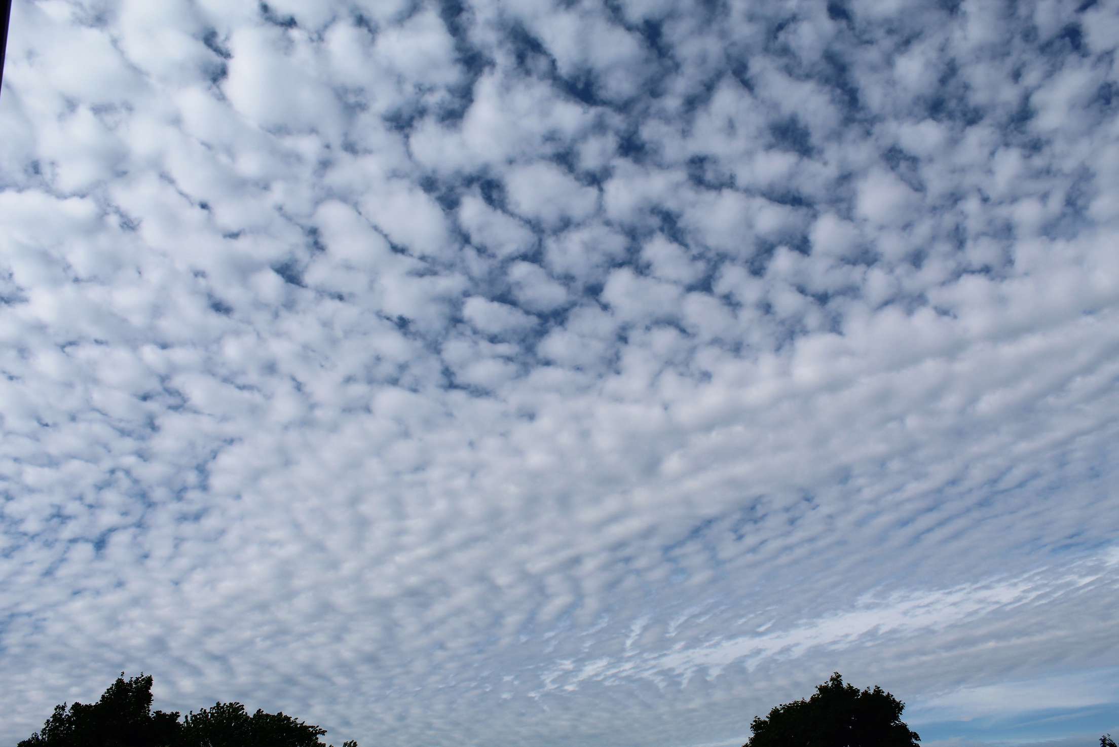 the clouds float by