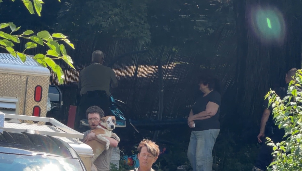 Wexford County sheriff investigates animal cruelty in Selma Township
