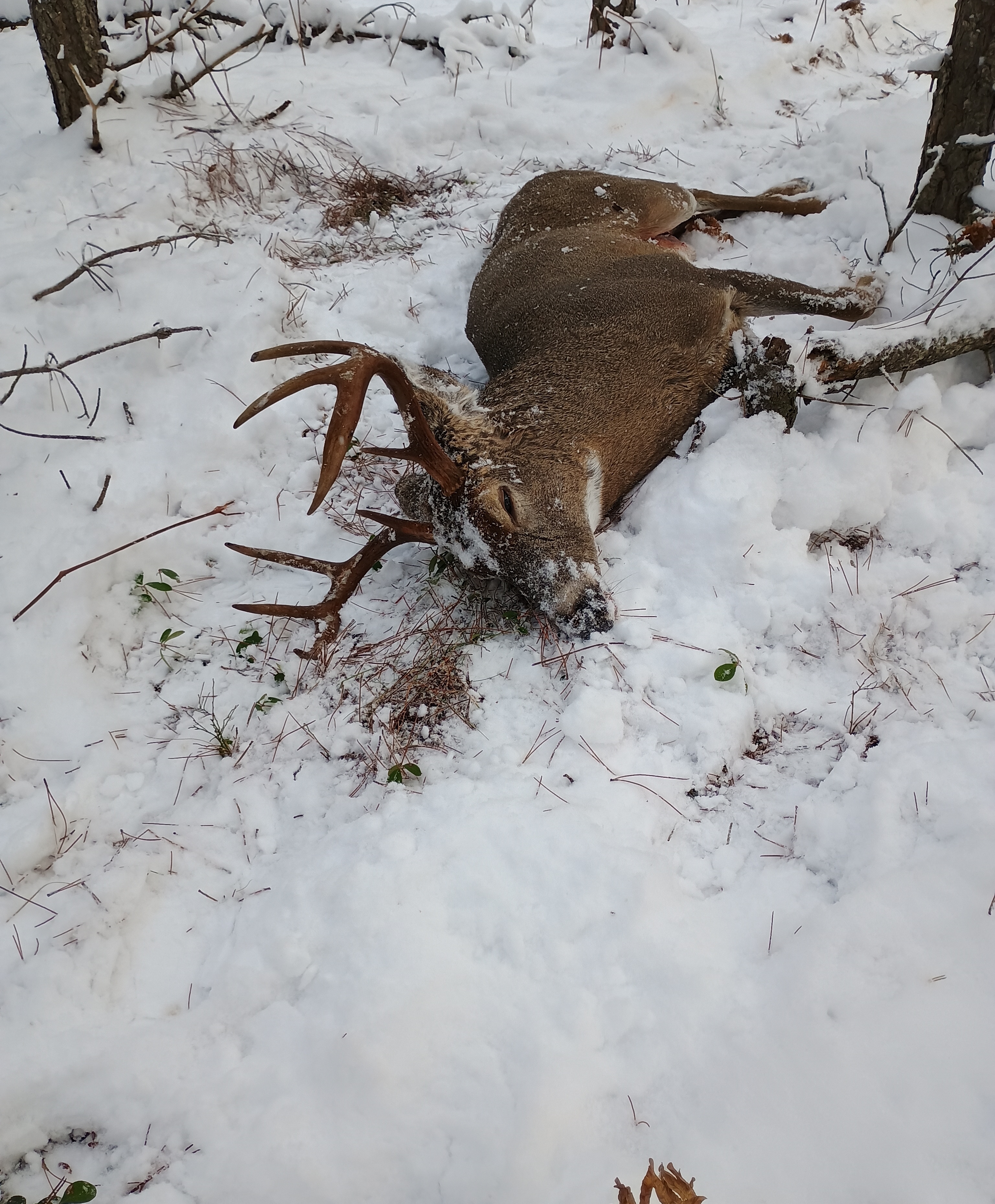 8 point, Chippewa County