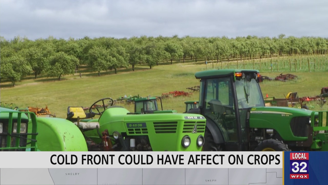 Cold Front Could Pose Danger To Northern Michigan Crops – 9and10News.com