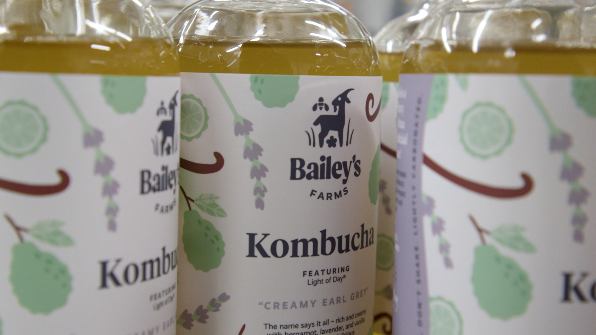 Bailey’s Farms crafts unique kombucha with Michigan-grown teas