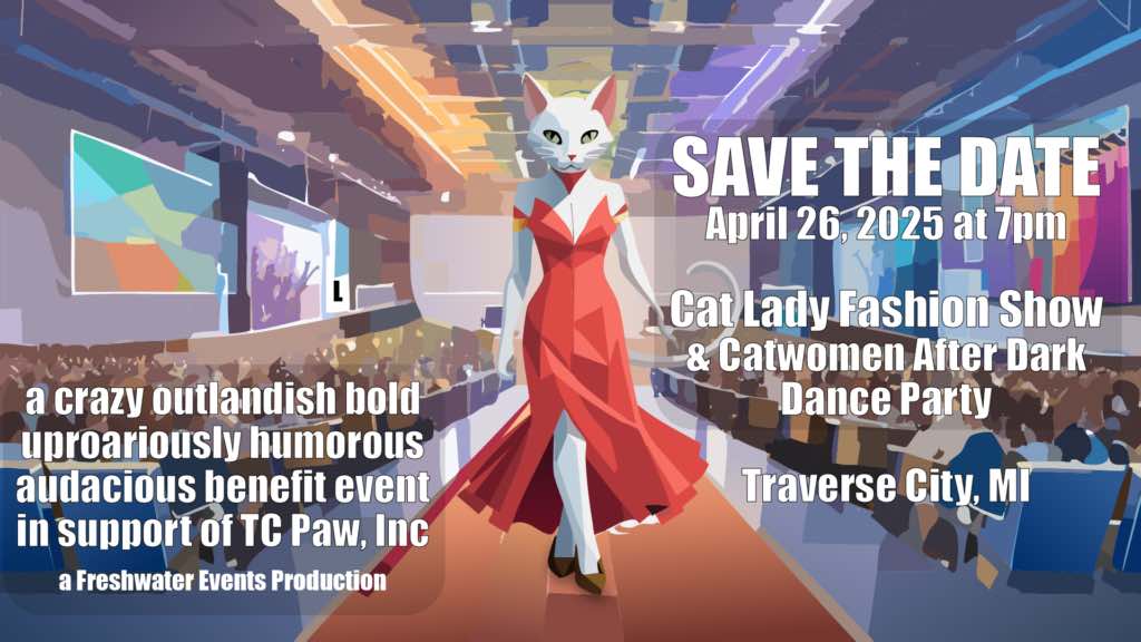 TC Paw Cat Rescue: Cat Lady Fashion Show