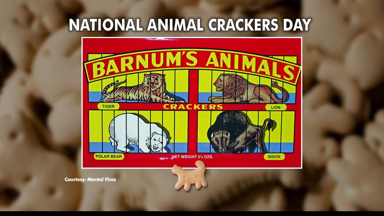 What's Trending Wednesday: National Animal Crackers Day ...