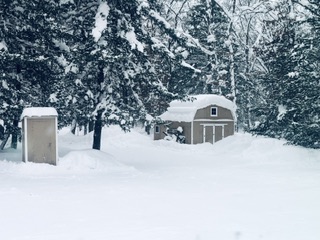 Beautiful winter ❄️ snow covered shed in my backyard untouched landscape ❄️