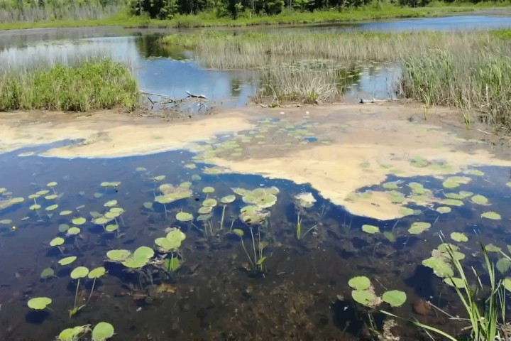 Sights and Sounds Drone Edition: Grand Traverse County Swamp – 910News.com