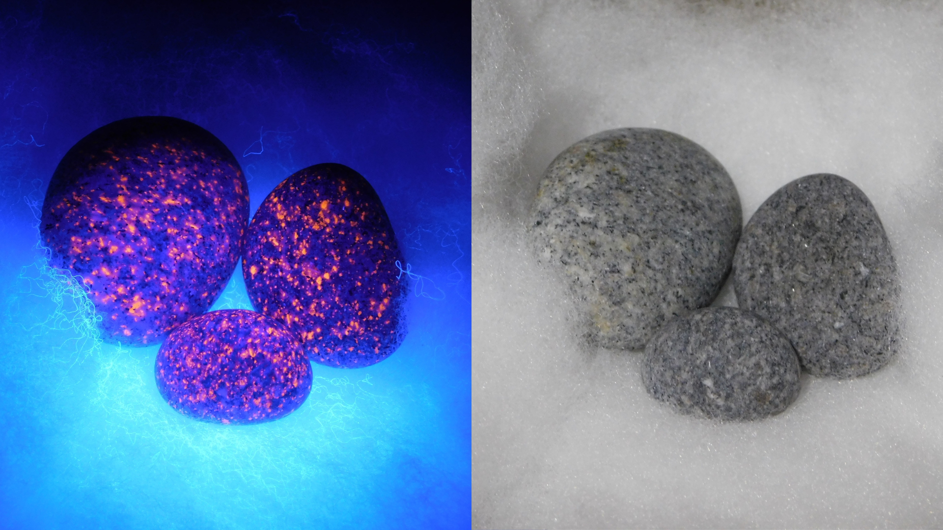Yooperlite rocks under blacklight vs. natural light