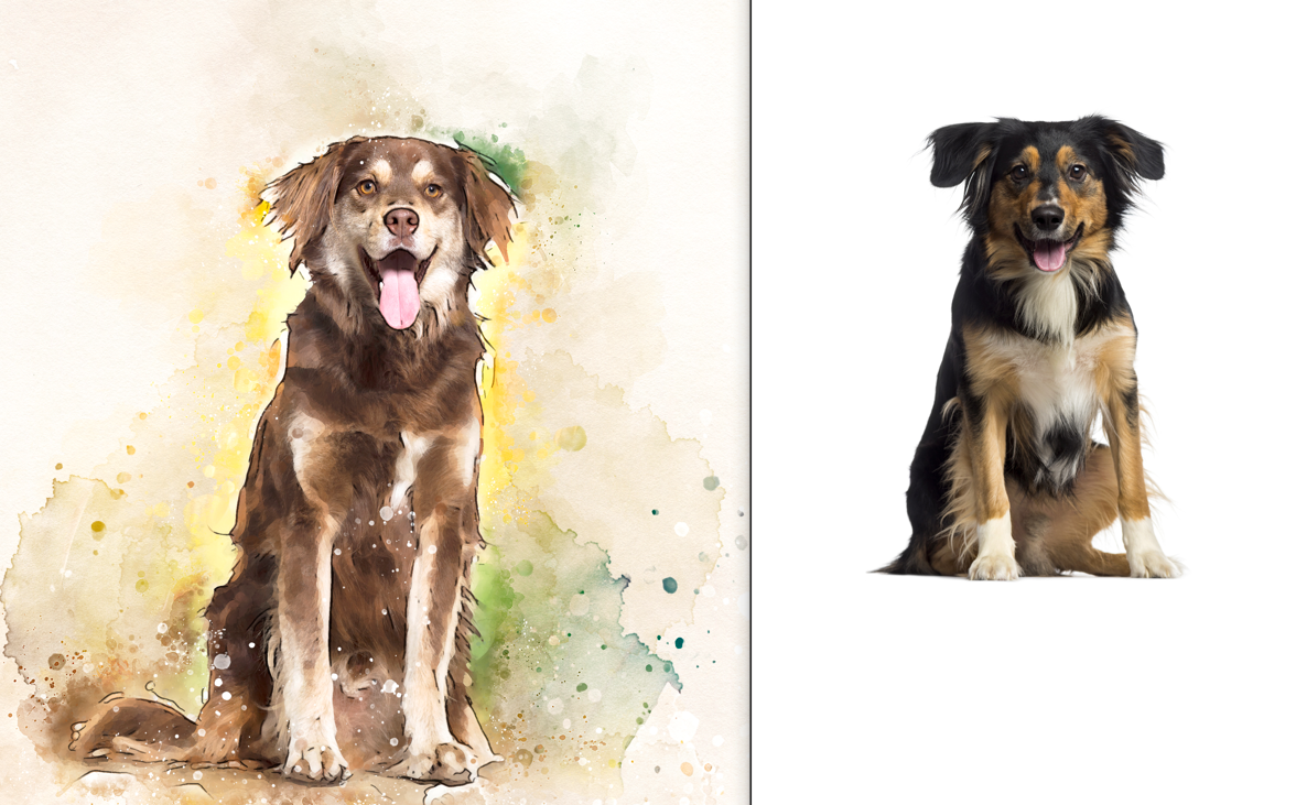 Regal Beagle Pet Portraits