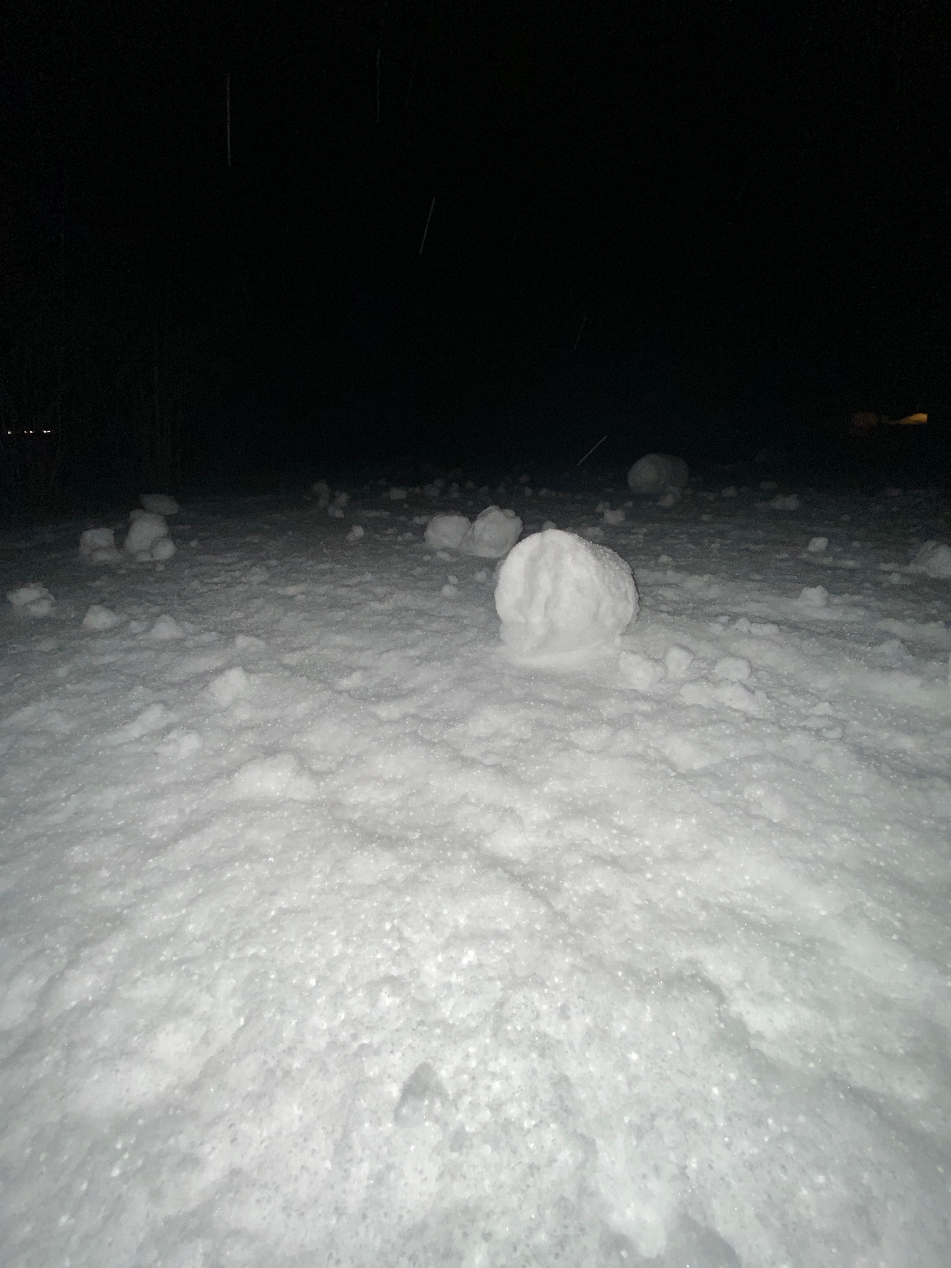 Snow rollers in our front yard near Wolverine 1/28/25