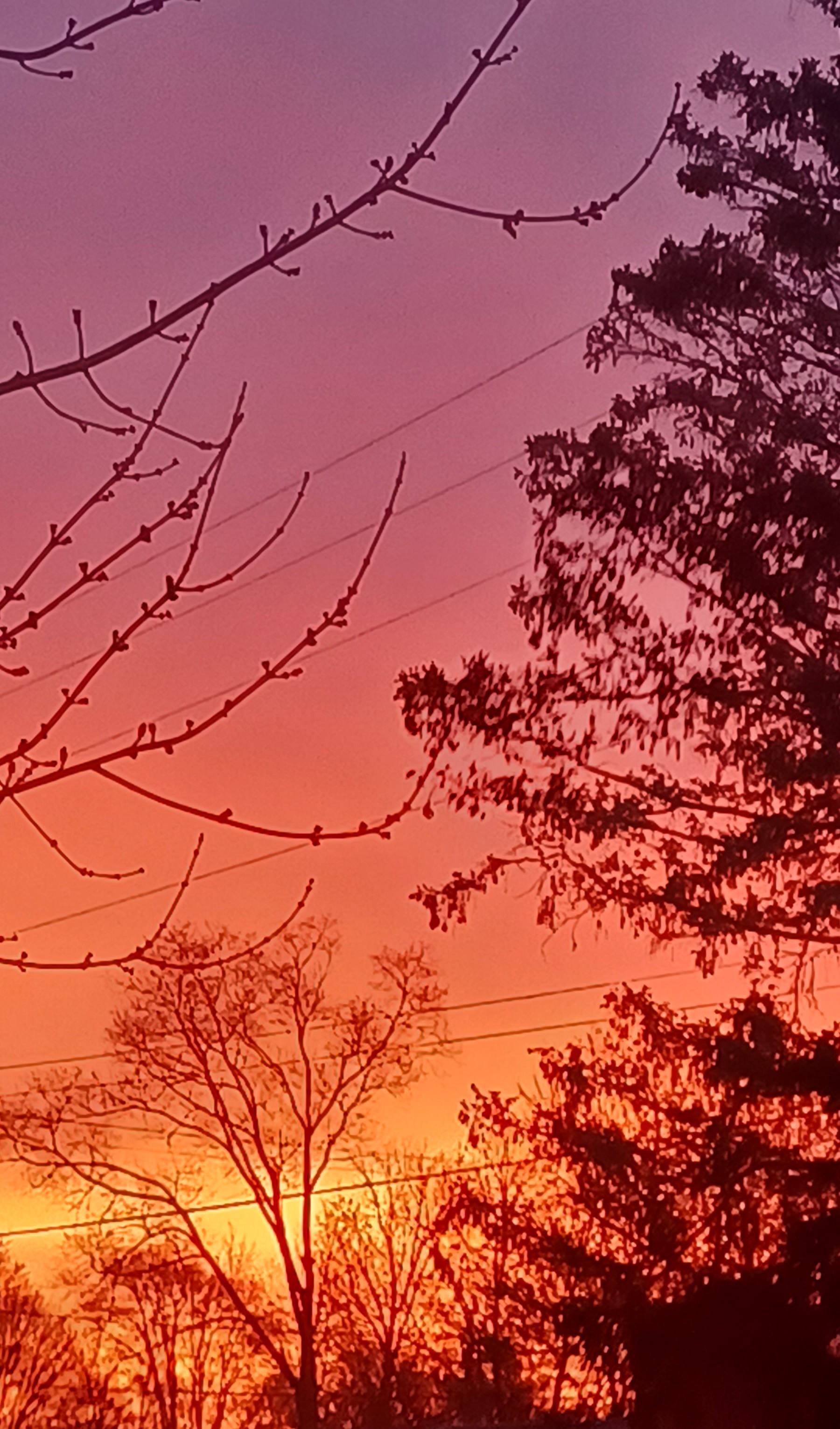 Sunrise 2/26 in Big Rapids 