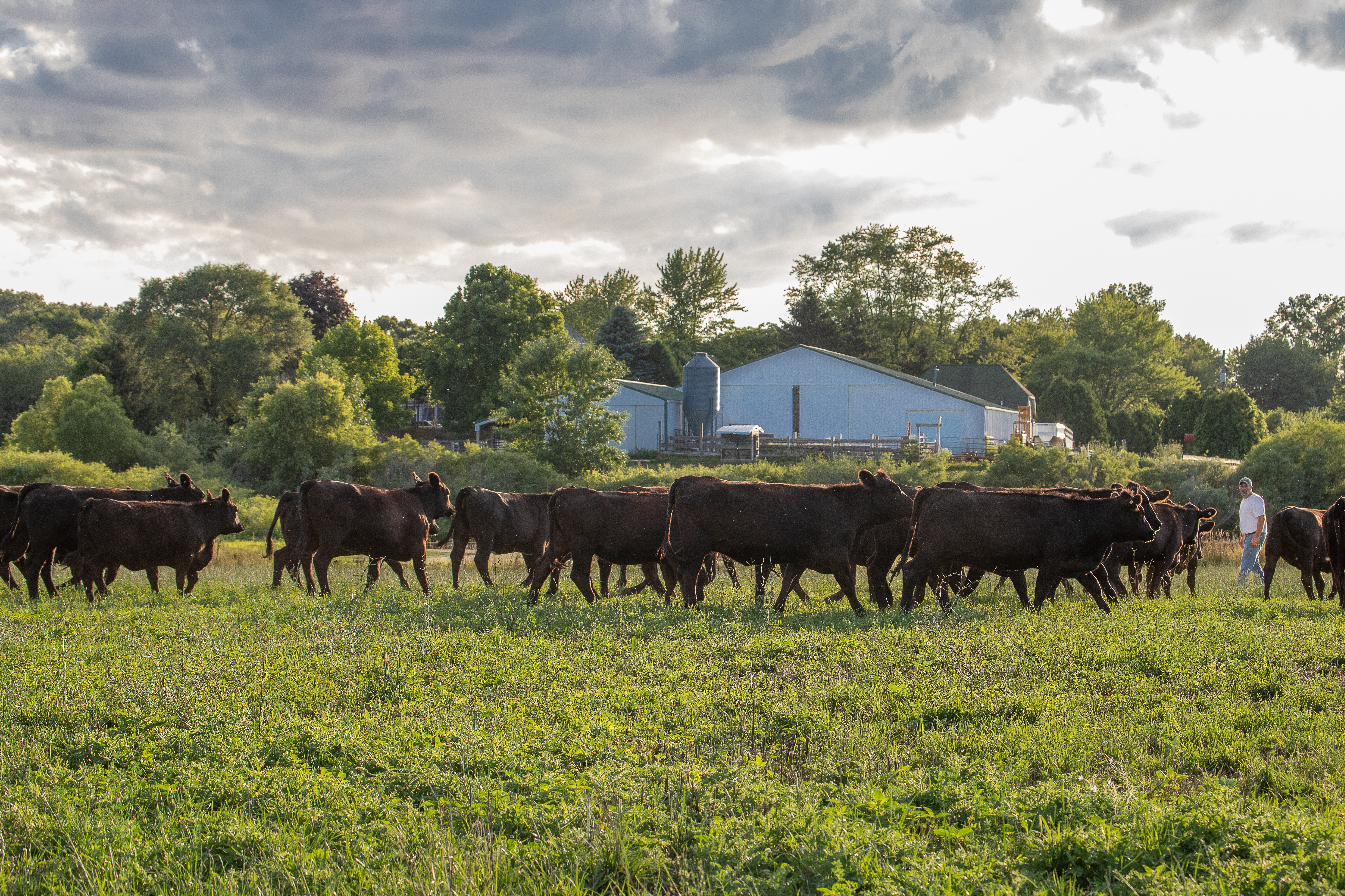 Find out about the farming industry at the Farmer Event at Oakwood Proper Burgers