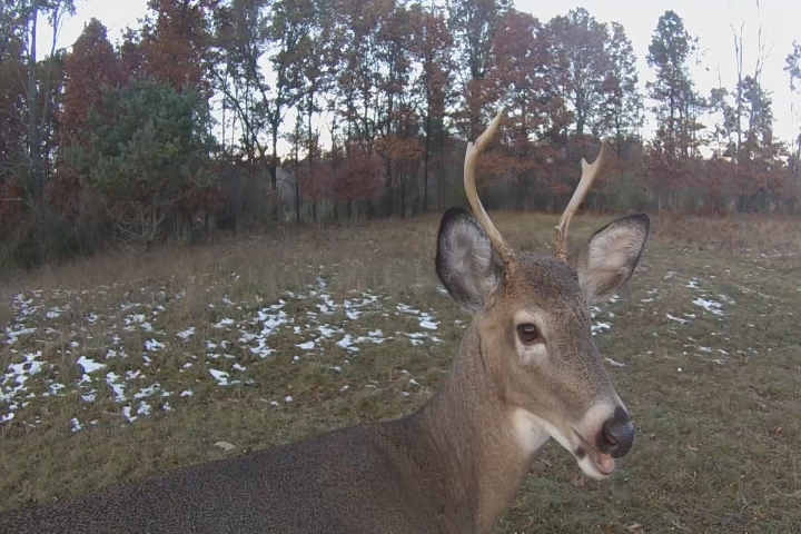 01-11-18-H&H CWD HUNT SOT_VO.transfer...