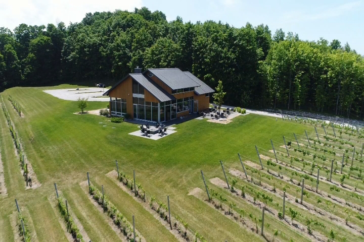 BrewVine: Blustone Vineyards in Lake Leelanau