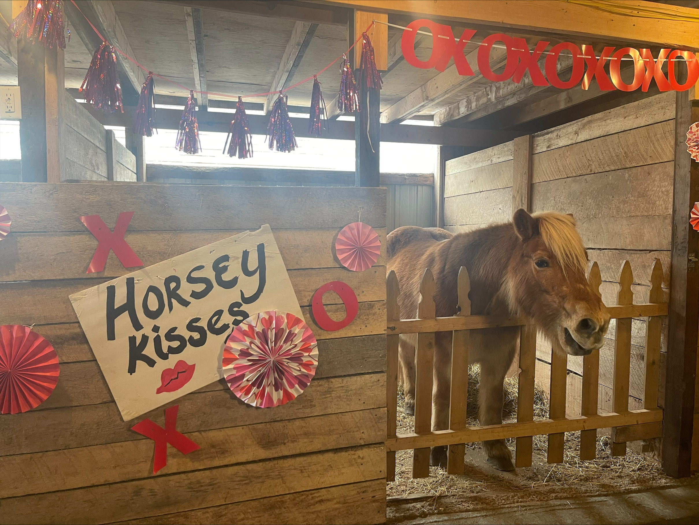 On The Road: Horse kissing booth at the Northern Michigan Equine Therapy