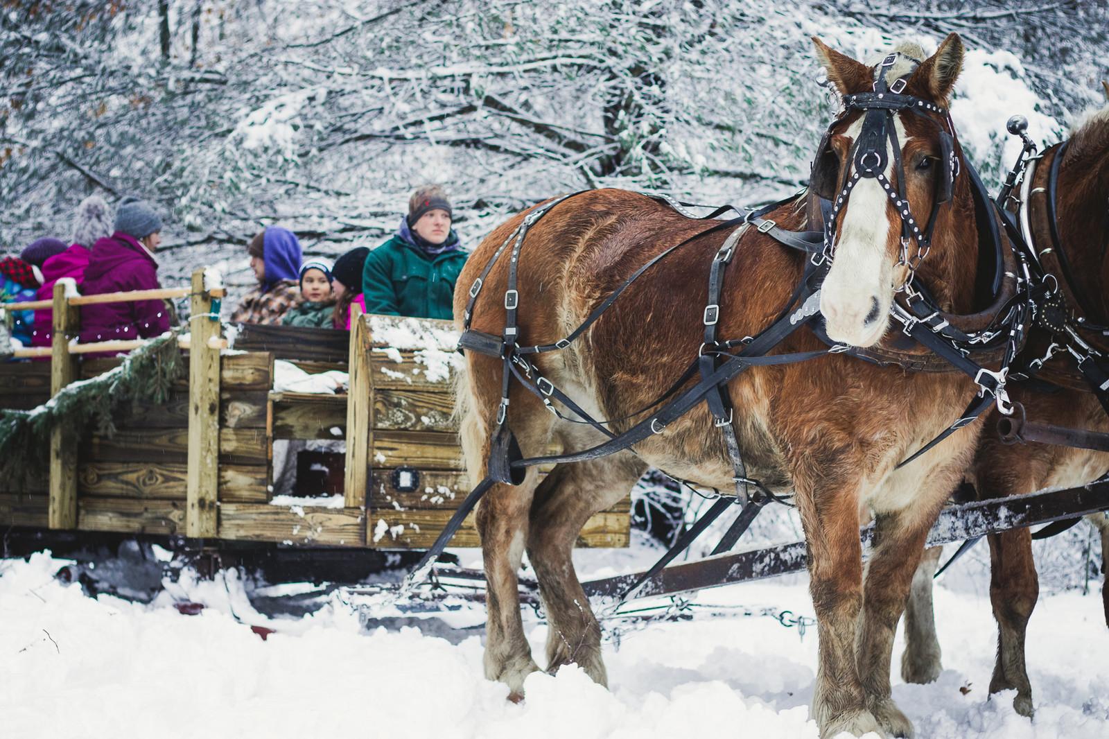 4 must-do’s to make the most of a Gaylord holiday vacation – 9&10 News