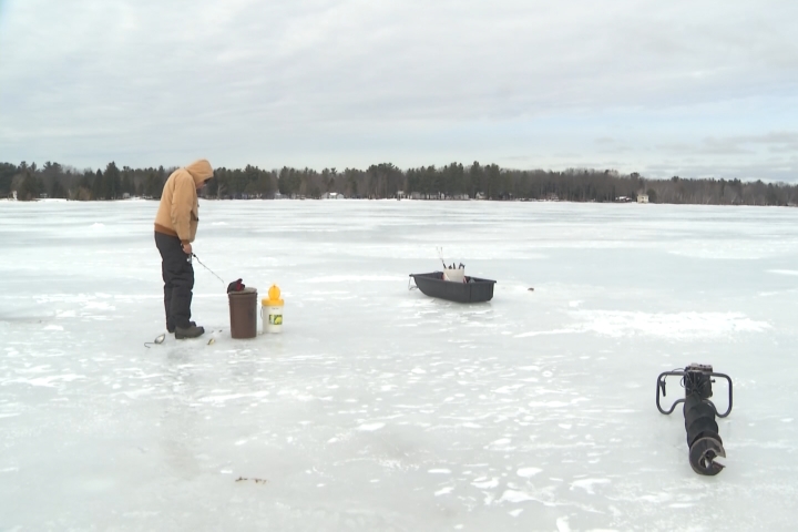 02-07-19-HH-PERCH-COUNT-VO-6...